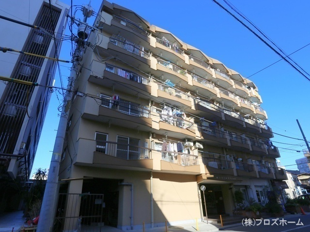外観:
