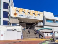 周辺環境:東武伊勢崎・大師線「西新井」駅