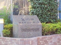 外観: