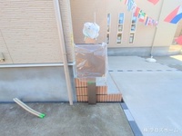 外観: