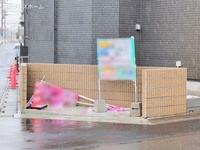 外観: