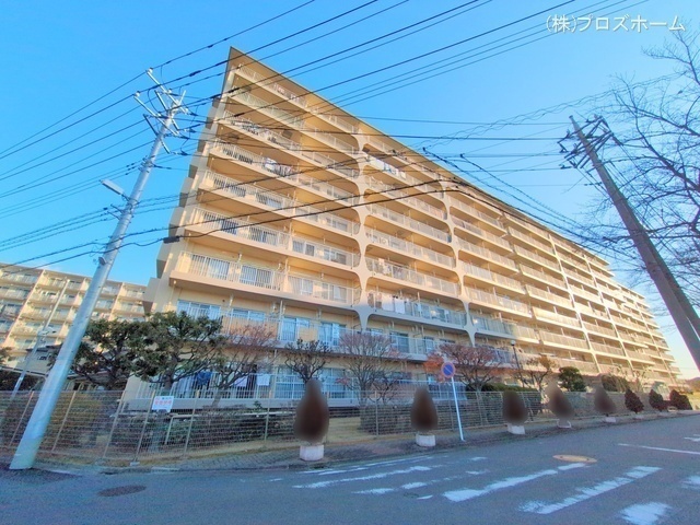 外観: