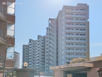 外観: