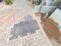 外観: