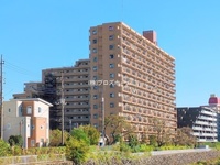 外観: