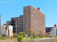 外観: