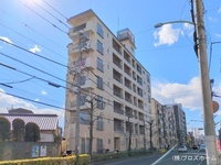 外観: