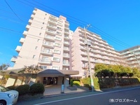外観: