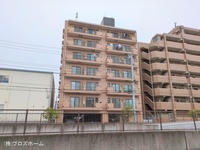 外観: