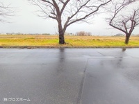 外観:
