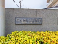 外観: