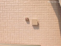 外観: