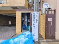 外観: