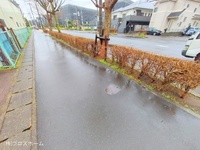 外観: