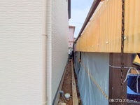 外観: