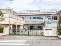 周辺環境:草加市立青柳小学校