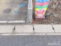 外観: