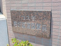外観: