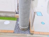 外観: