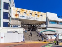 周辺環境:東武鉄道「西新井」駅