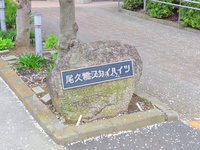 エントランス: