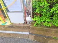 外観: