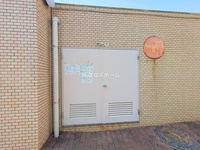 外観: