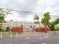 周辺環境:葛飾区立柴又小学校