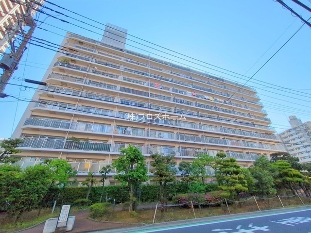 外観: