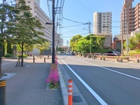 外観: