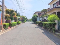 外観: