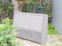 外観: