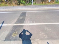 外観: