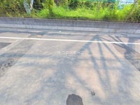 外観: