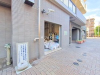 外観: