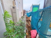外観: