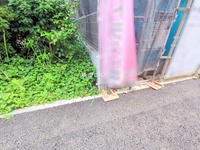 外観: