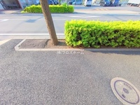 外観: