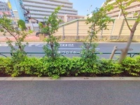 外観: