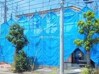 外観: