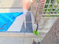 外観: