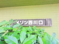 外観: