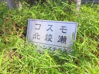 エントランス: