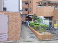 外観: