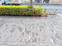 外観: