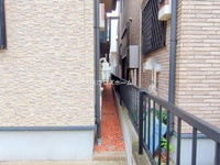 外観: