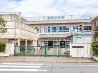 周辺環境:草加市立青柳小学校