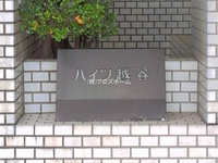 外観: