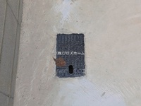 外観: