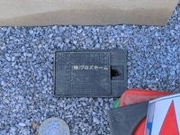 外観: